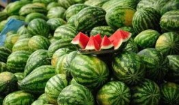 射阳网红吃瓜事件真相,真相背后的网络风波